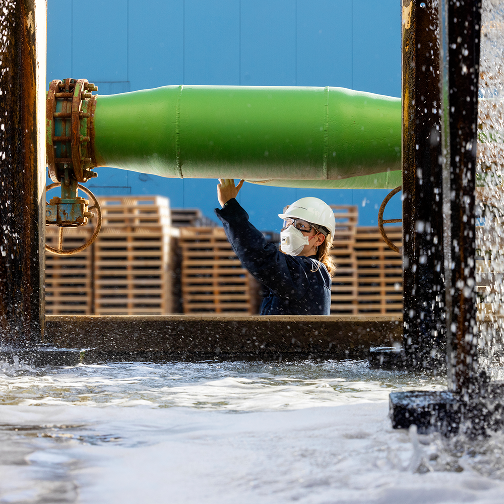 Eenbredewaaieraanjobs 05